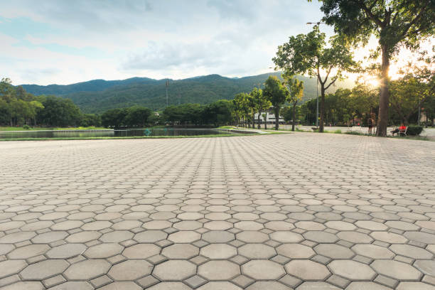 Best Affordable Driveway Pavers  in Arbuckle, CA